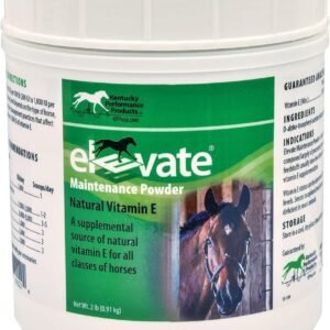 Elevate Maintenance Powder 2 lb