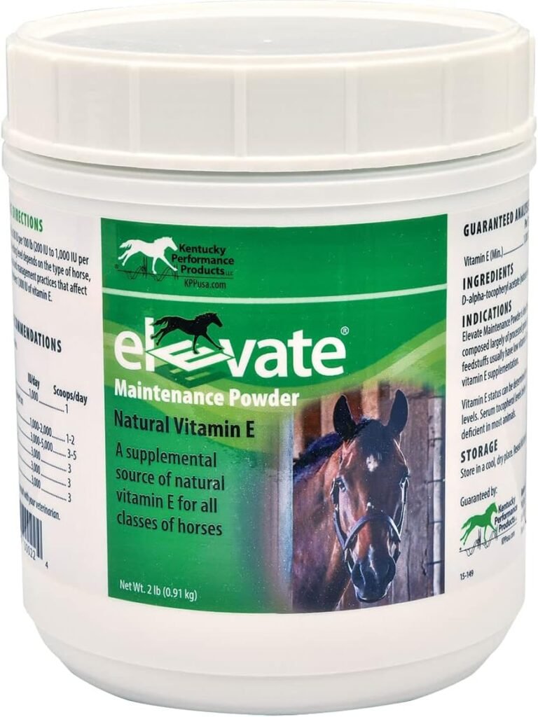 Elevate Maintenance Powder 2 lb